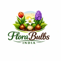 Florabulbsindia By Odoo